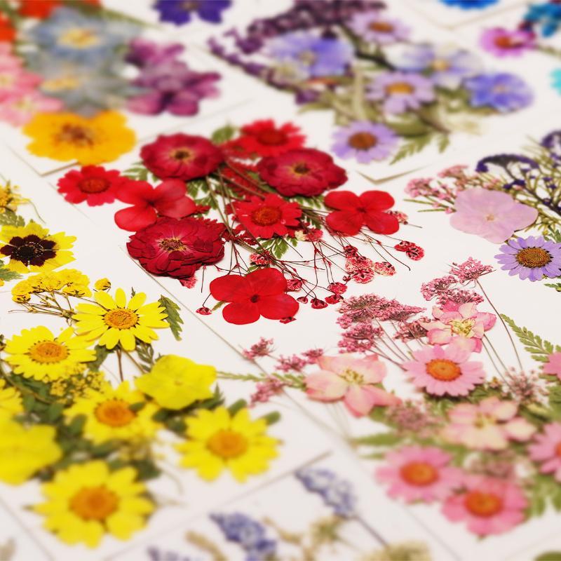 Resin Craft Ideas - Real Natural Pressed Dried Plant Flowers