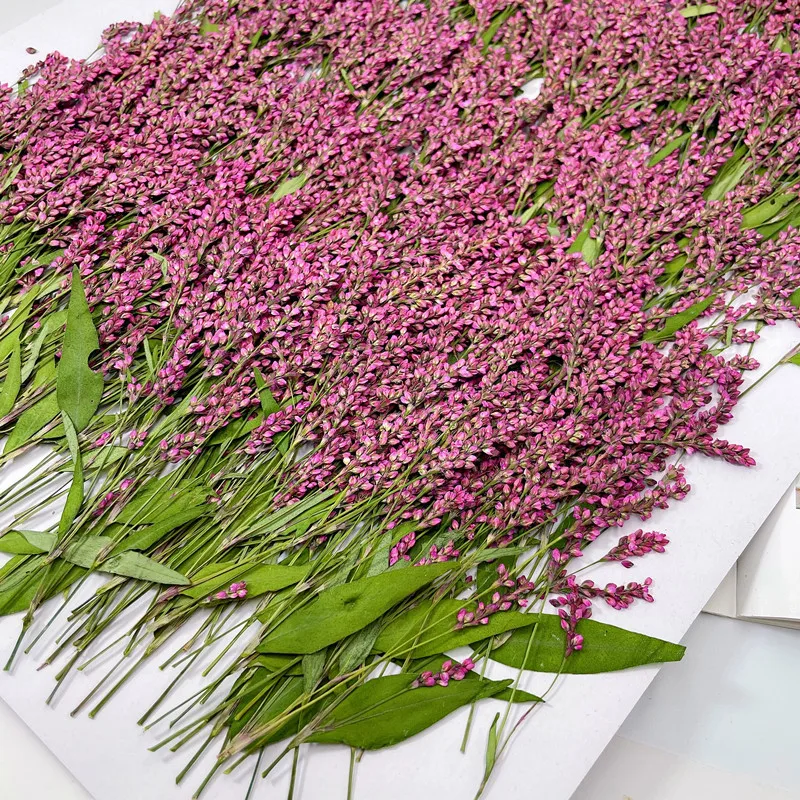 Dried Flower Bulk - 120pcs,5-8cm,Wholesale Nature Pressed Flower Mini Branches,DIY