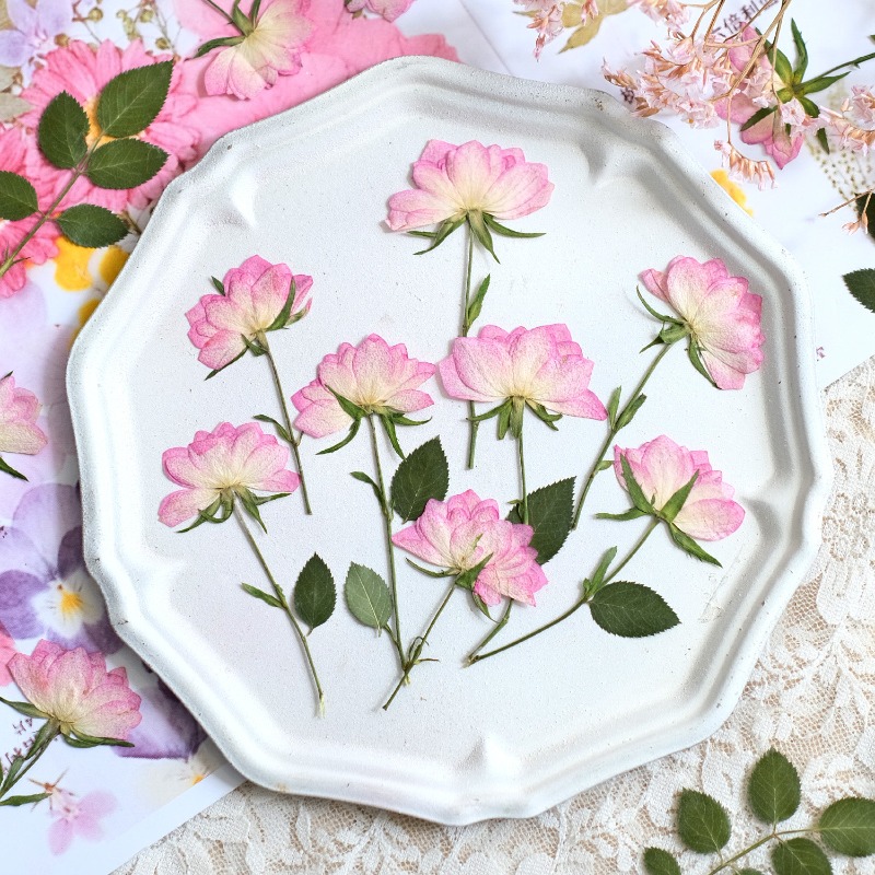 Resin Craft Ideas - 12pcs,Real Dried Pressed Flowers for Phone