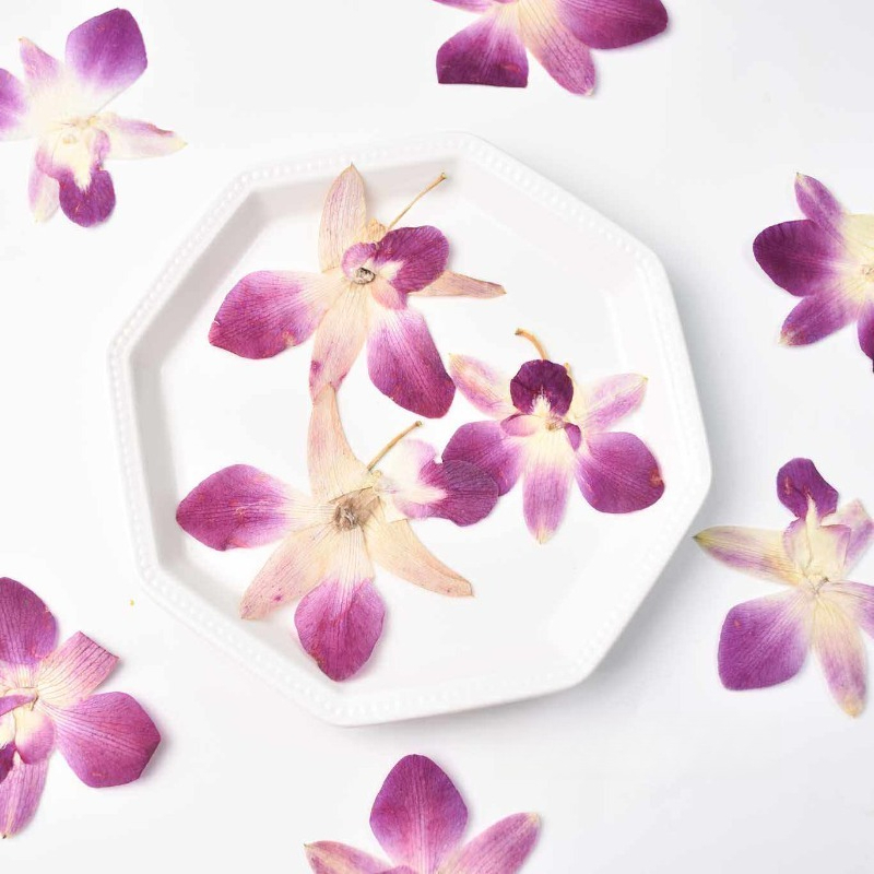 4pcs,Real Pressed Butterfly Or - đánh giá và giá Resin Craft Ideas