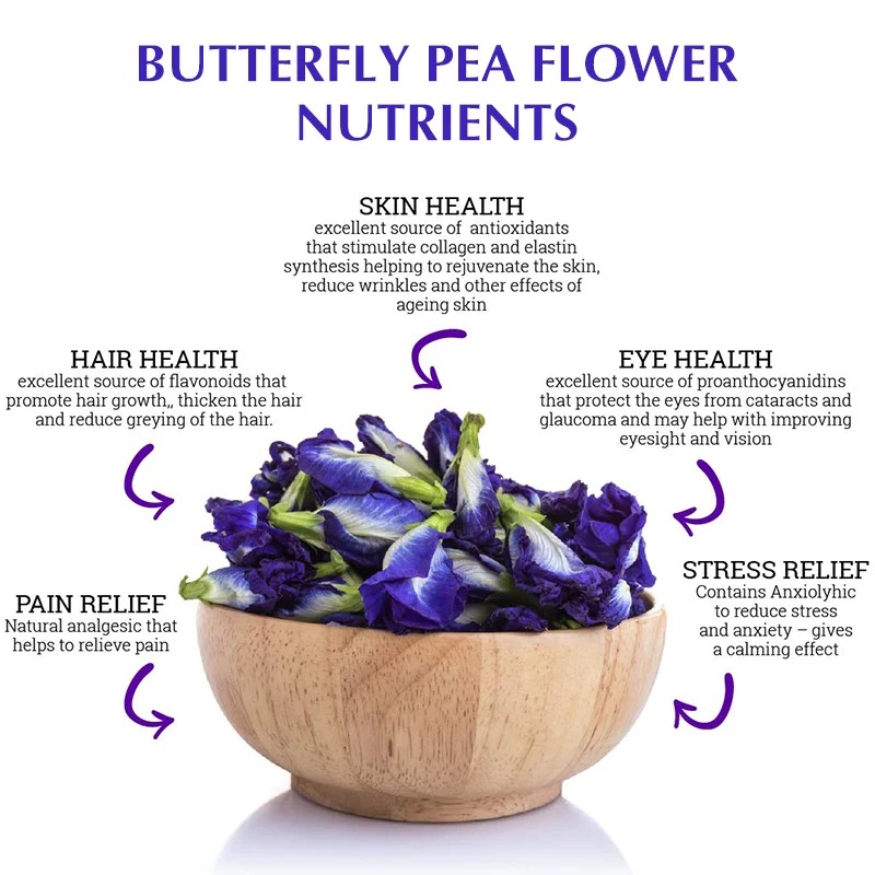 Organic Butterfly Pea Flower T - đánh giá và giá Dried Flower Bulk