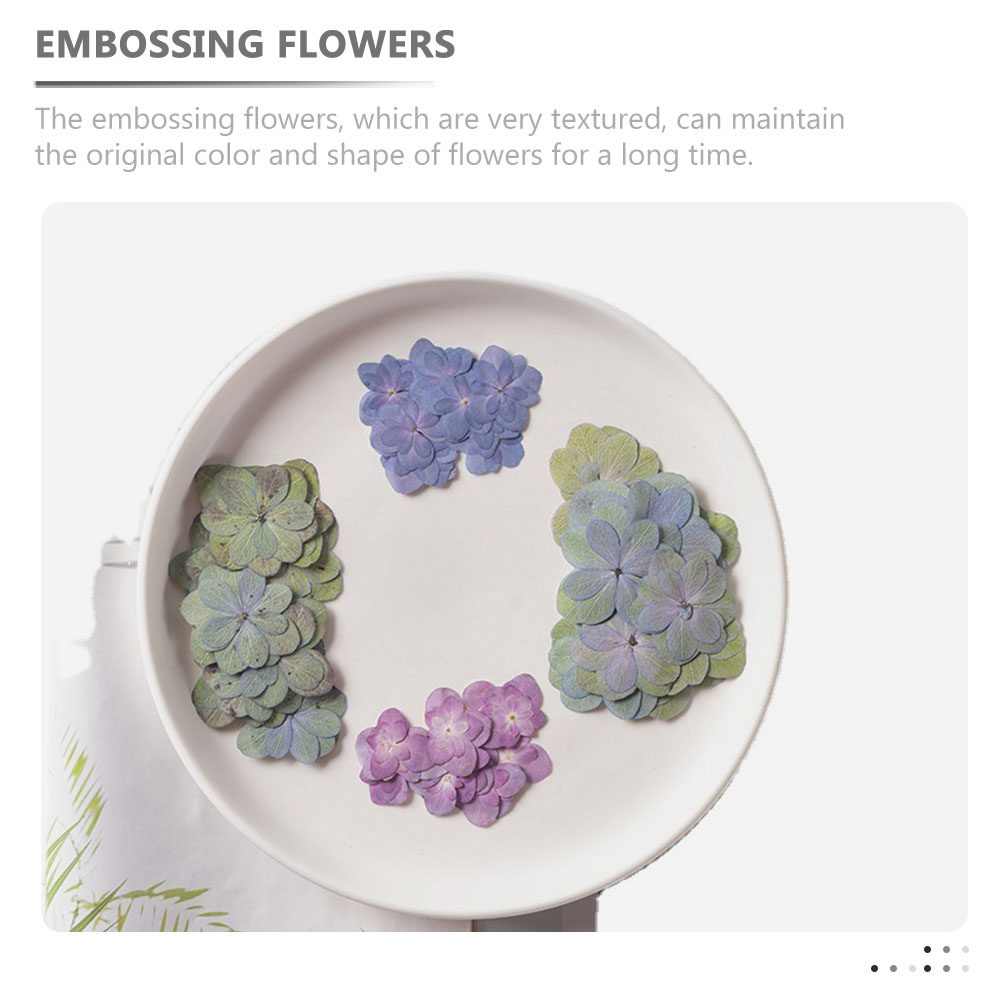 30Pcs Multicolored Pressed Dri - đánh giá và giá Dried Flower Bulk