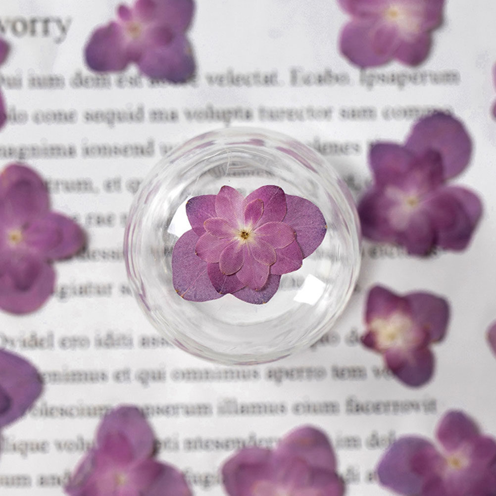 30Pcs Multicolored Pressed Dri - đánh giá và giá Dried Flower Bulk