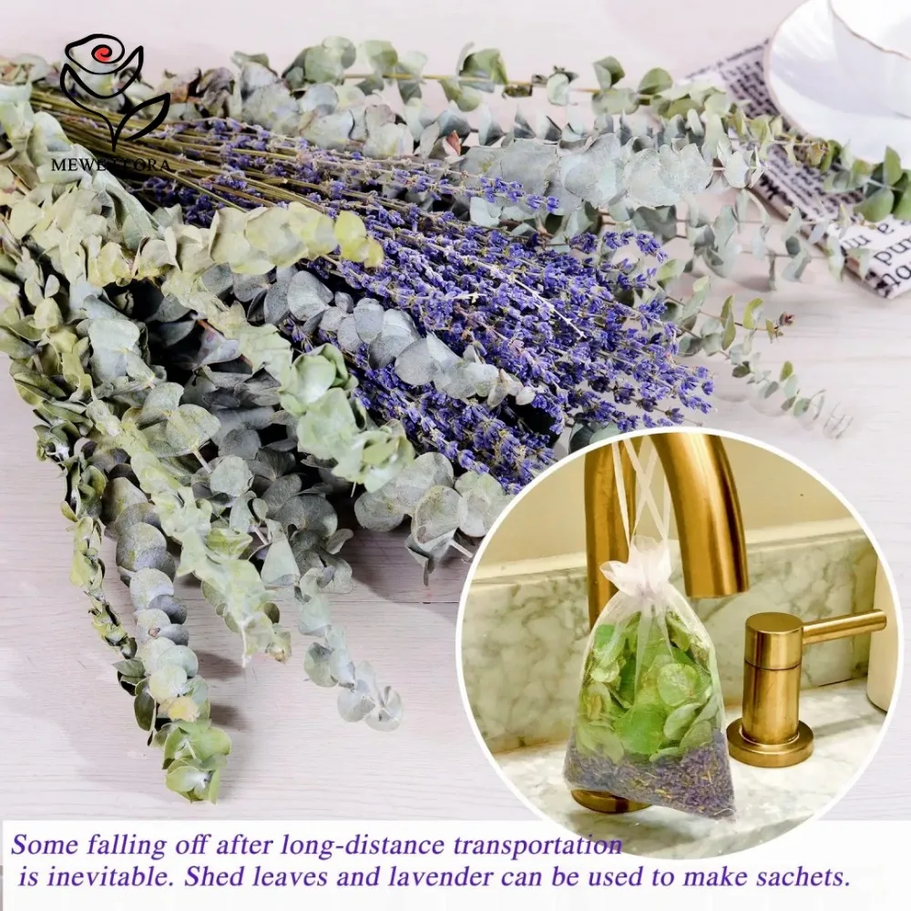 30Pcs Dried Flowers Preserved  - đánh giá và giá Dried Flower Bulk
