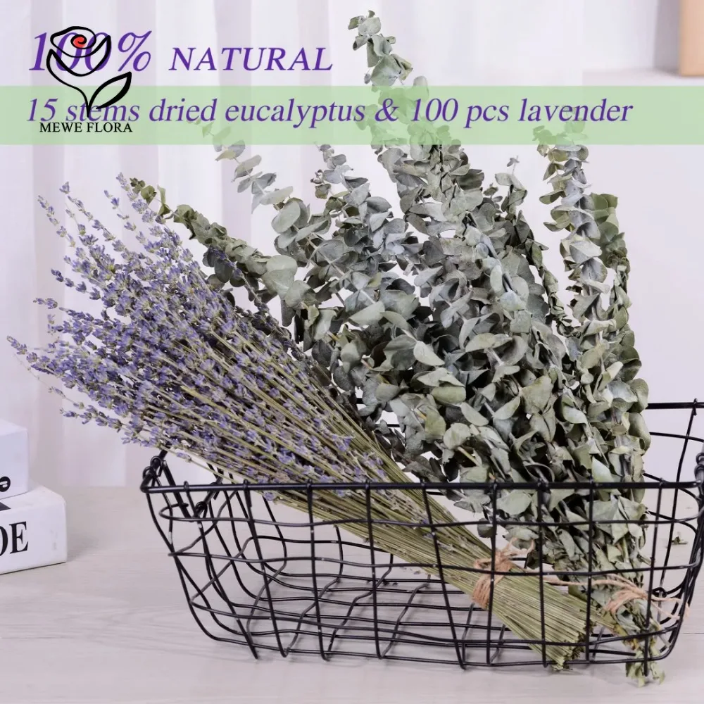 30Pcs Dried Flowers Preserved  - đánh giá và giá Dried Flower Bulk