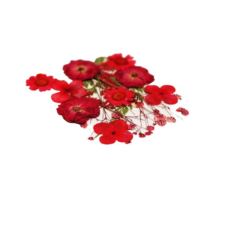 Real Natural Pressed Dried Pla - đánh giá và giá Resin Craft Ideas