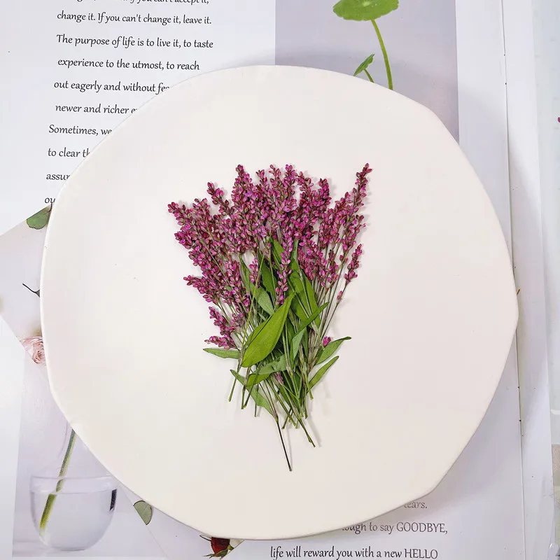 120pcs,5-8cm,Wholesale Nature  - đánh giá và giá Dried Flower Bulk