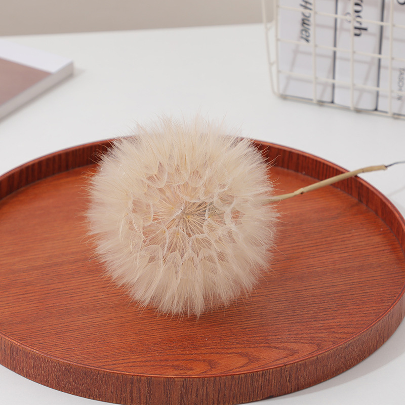 Preserved Dandelion DIY Epoxy  - đánh giá và giá Resin Crafts Diy
