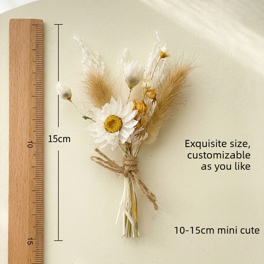 Mini Dried Flower Bouquet Natu - đánh giá và giá Dried Flower Bulk